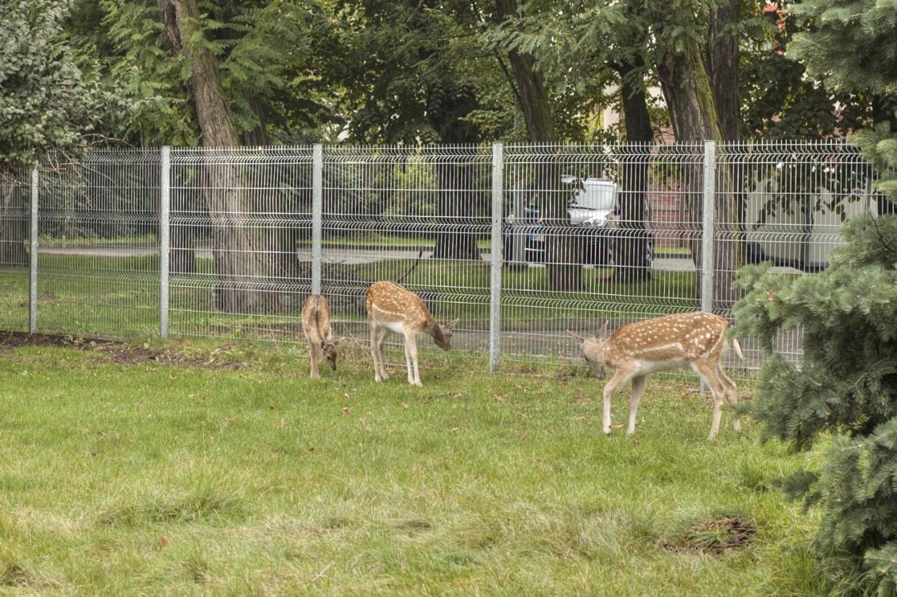Hotel I Restauracja Borowianka Ostrów Wielkopolski Exteriör bild